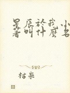 星辰于我小说原著叫什么名字