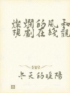 灿烂的风和海电视剧在线观看