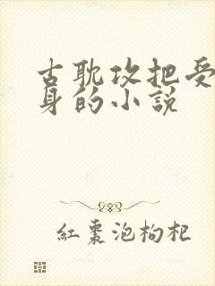 古耽攻把受当替身的小说