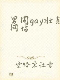 男同gay壮熊网站