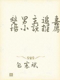 双男主追妻火葬场小说推荐