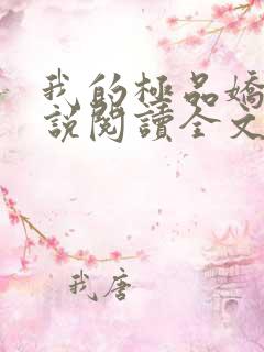 我的极品娇妻小说阅读全文