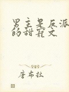 男主是反派大佬的甜宠文