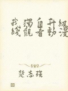 我独自升级2在线观看动漫