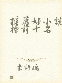 推荐好小说排行榜前十名