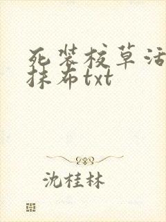 死装校草活该被抹布txt