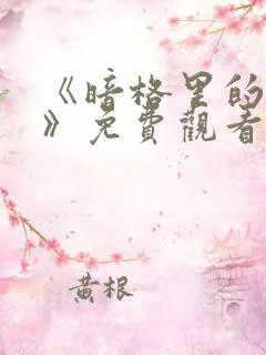 《暗格里的秘密》免费观看完整版