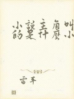 小说主角叫宁尘的是什么小说