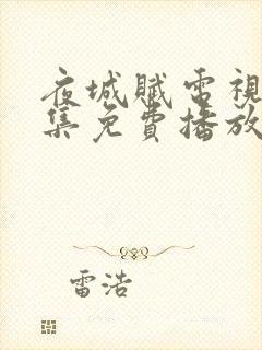 夜城赋电视剧全集免费播放