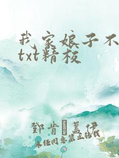 我家娘子不对劲txt精校