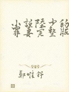 小说陆少的隐婚罪妻完整版