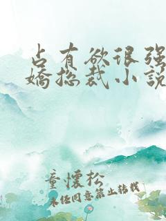 占有欲很强的病娇总裁小说