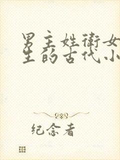 男主姓卫女主重生的古代小说