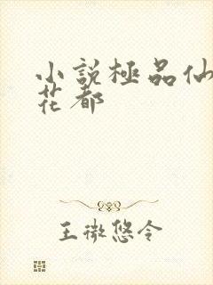 小说极品仙帝在花都