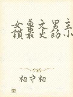 女尊文男主戴贞锁最火的小说