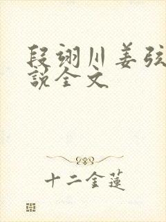 段翊川姜弦歌小说全文