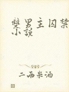 双男主囚禁调教小说