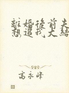 离婚后前夫总是想追我大结局