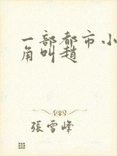 一部都市小说主角叫赵