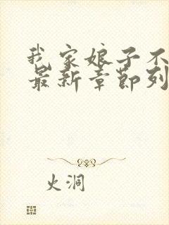 我家娘子不对劲最新章节列