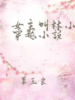 女主叫林小渔的穿越小说