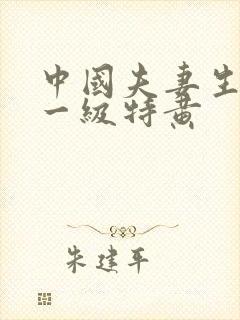 中国夫妻生活片一级特黄