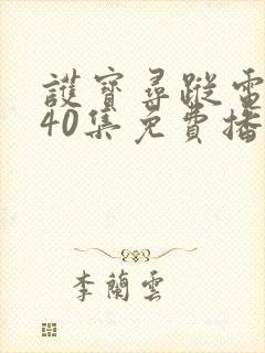 护宝寻踪电视剧40集免费播放下载安装