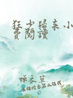 狂少归来小说免费阅读