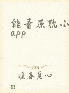 能看原耽小说的app