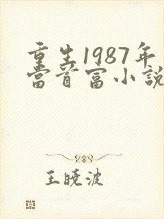 重生1987年当首富小说