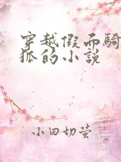 穿越假面骑士极狐的小说