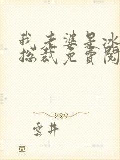 我老婆是冰山女总裁免费阅读全文