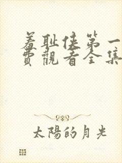 羞耻侠第一季免费观看全集高清