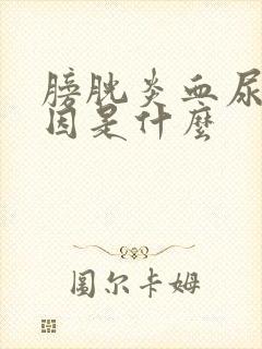 膀胱炎血尿的原因是什么