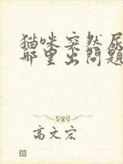 猫咪突然尿多是哪里出问题了