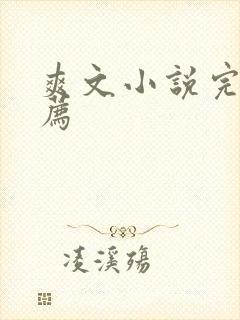 爽文小说完结推荐