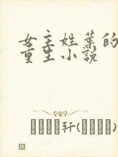 女主姓叶的末世重生小说