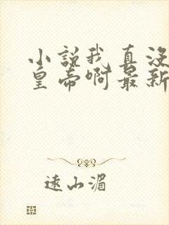 小说我真没想当皇帝啊最新章节