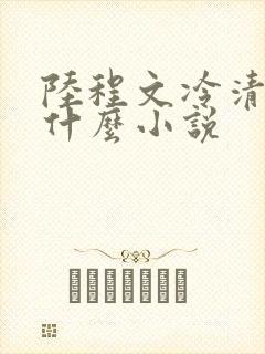 陆程文冷清秋是什么小说