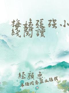 梅姨张强小说在线阅读