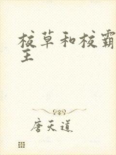 校草和校霸双男主