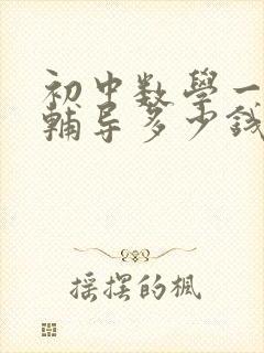 初中数学一对一辅导多少钱