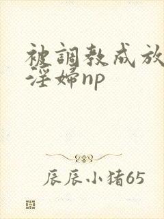 被调教成放荡小淫妇np