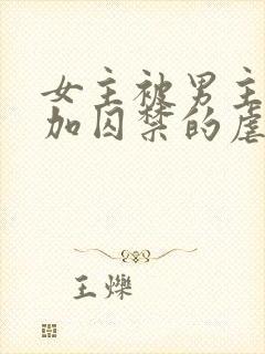 女主被男主qj加囚禁的虐文