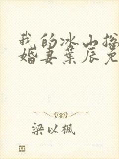 我的冰山总裁未婚妻叶辰免费