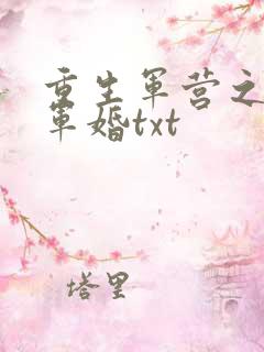 重生军营之王牌军婚txt