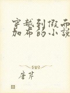 穿越到假面骑士加布的小说