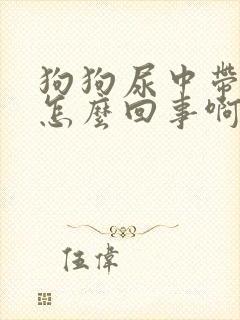 狗狗尿中带血是怎么回事啊