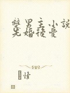 双男主小说推荐先婚后爱