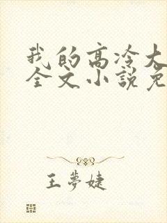我的高冷大小姐全文小说免费阅读
